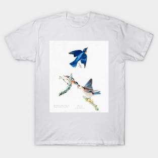 John Audubon Reimagined - Bluebirds T-Shirt